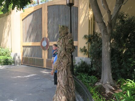 Groot