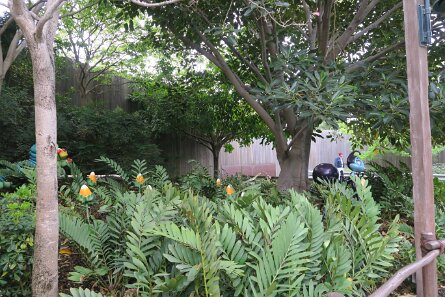 20180513_100018 null
