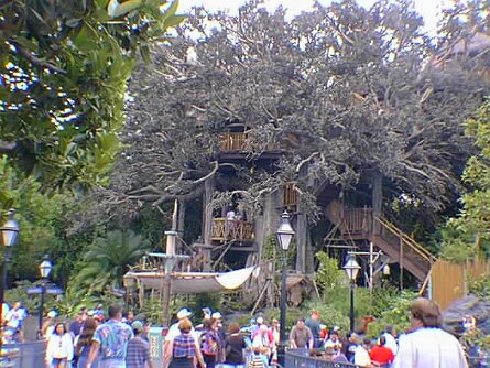 TreeHouse