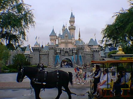 19980525_018_notime null