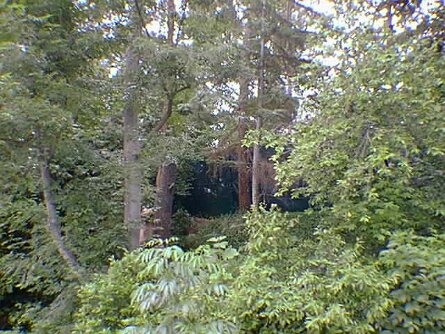 19980523_040_notime null