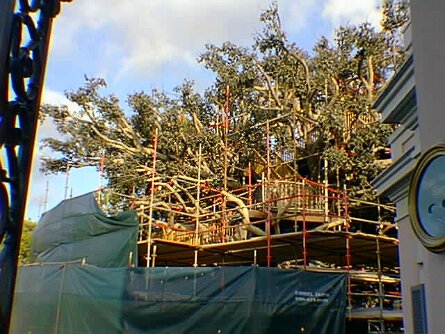 19990321_044 null