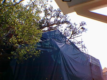 19990323_068 null