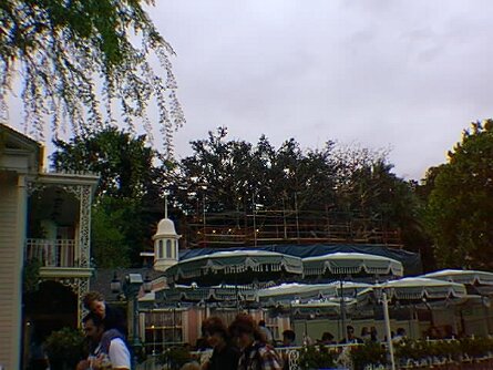 TreeHouse