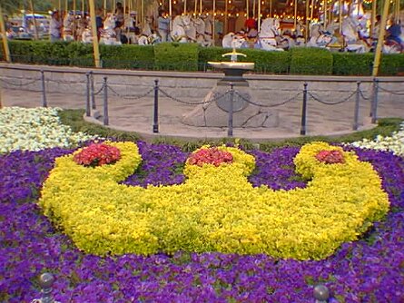 19990511_025 null