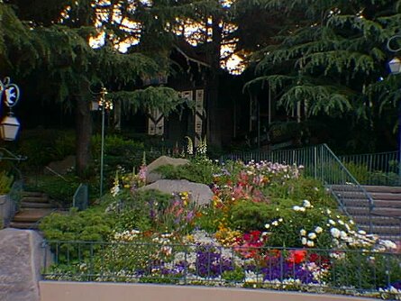19990511_031 null