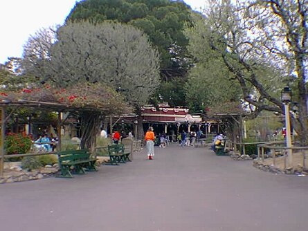 19990317_026 null