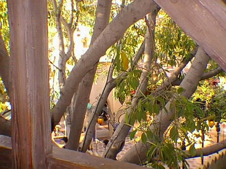 20000508_122442 null