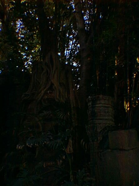 20000508_122827 null