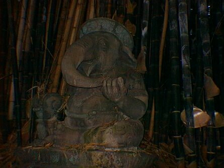 20000508_122838 null
