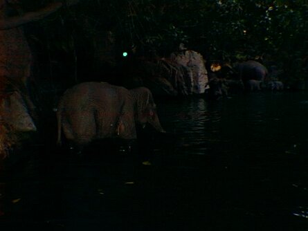 20000508_122916 null