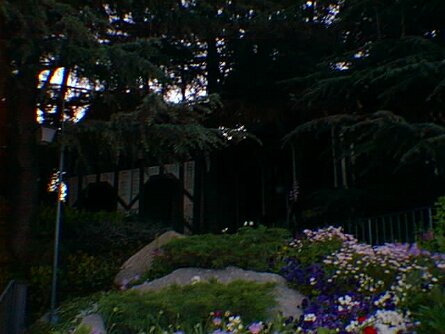 20000501_152456 null