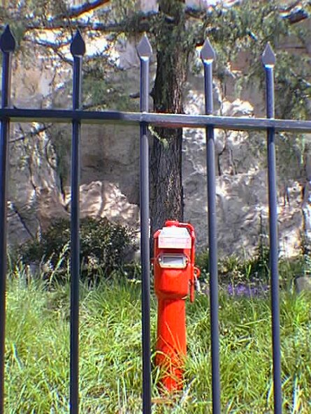 20000508_054545 null