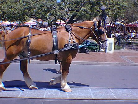 20000805_082739 null