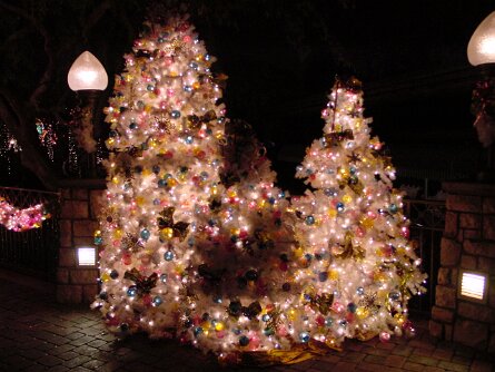 20011214_174859 null