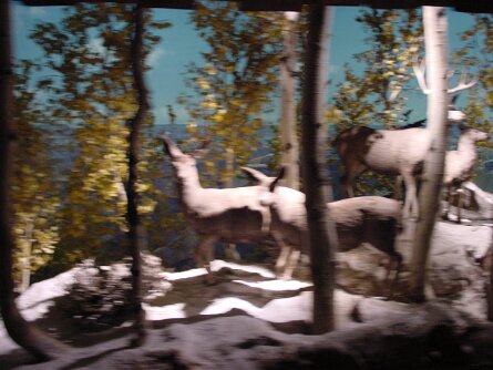 20020120_212049 null