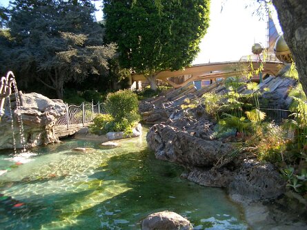 20031216_111403 null