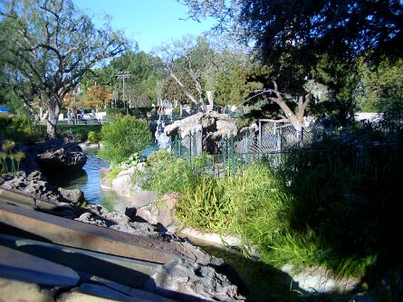 20031216_111507 null