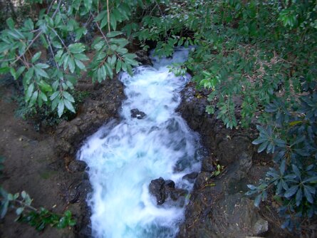 20031214_145802 null