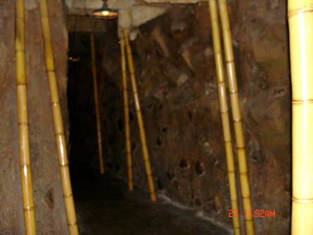 20040827_115209 null