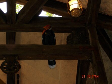 20040831_101748 null