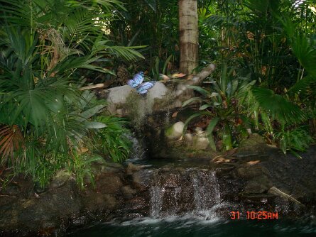20040831_102511 null