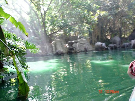 20040831_102603 null