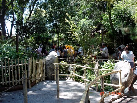 20040827_133120 null