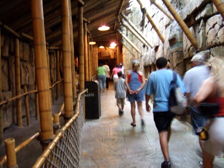 20050714_183625_F10 null