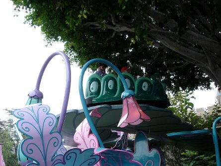 20050718_083501 null