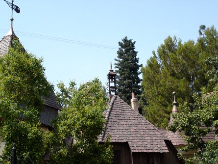 TinkerbellsTree
