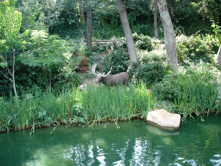 20050719_161808 null