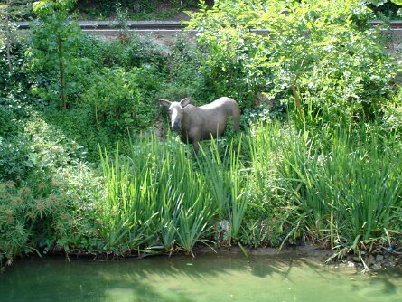 20050719_161824 null