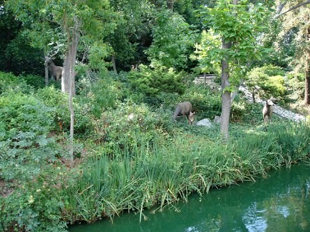 20050719_161846 null