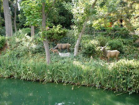 20050719_161905 null