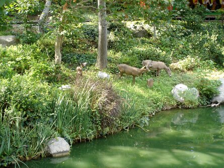 20050719_161912 null