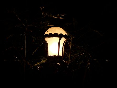 20051210_231108 null