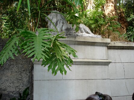 20050714_171933 null