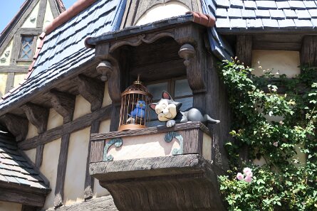 20170508_114533 null