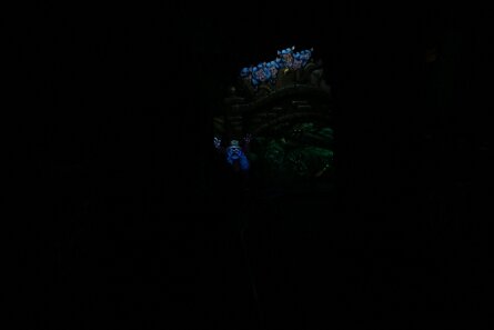 20180514_082259 null