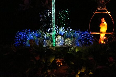 20221013_100415 null