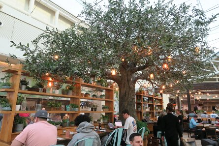 20240227_170458 null