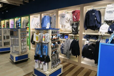 20240227_163731 null