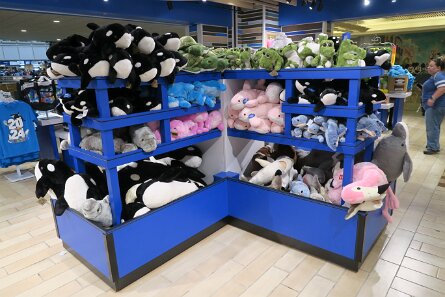 20240227_163735 null