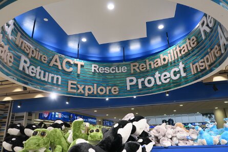 20240227_163749 null