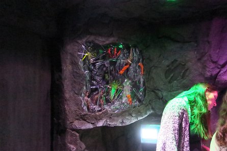 20240511_113829 null