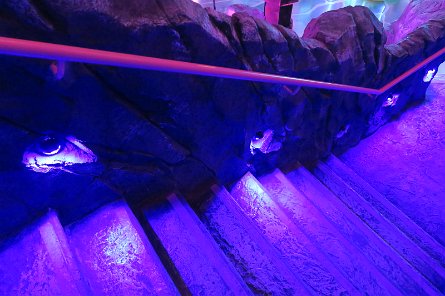 20240511_113600 null