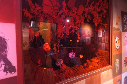 20240511_131128 null