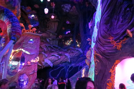 20240511_150035 null