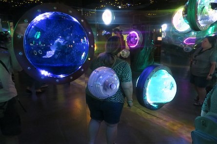 20240511_131749 null